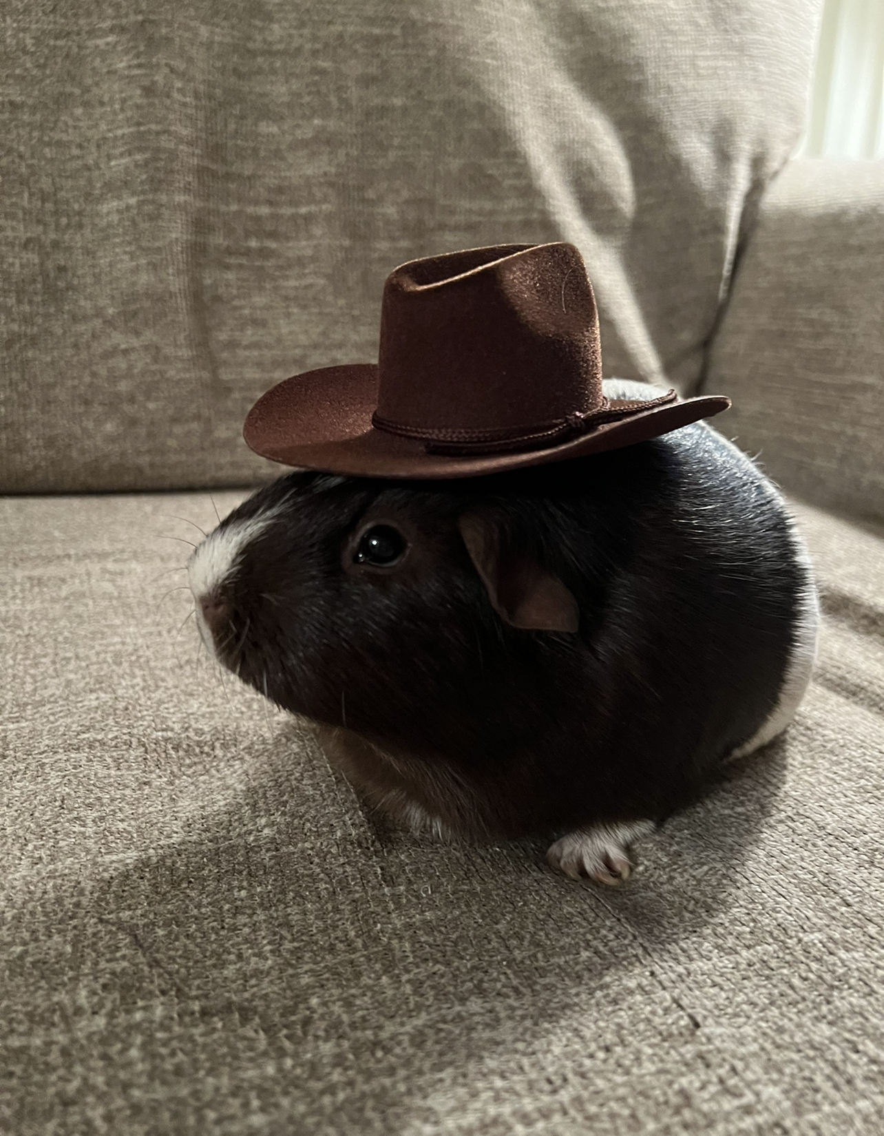 Ellie with a cowboy hat on